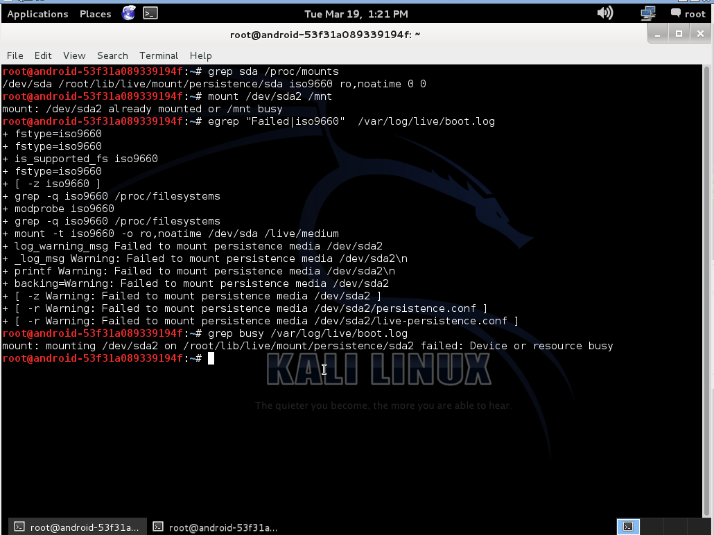 Kali linux on LiveUSB with working persistent partition IvanBayan